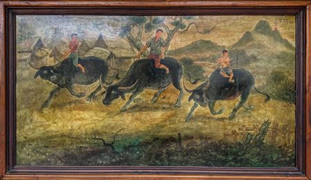 Herding Buffaloes
