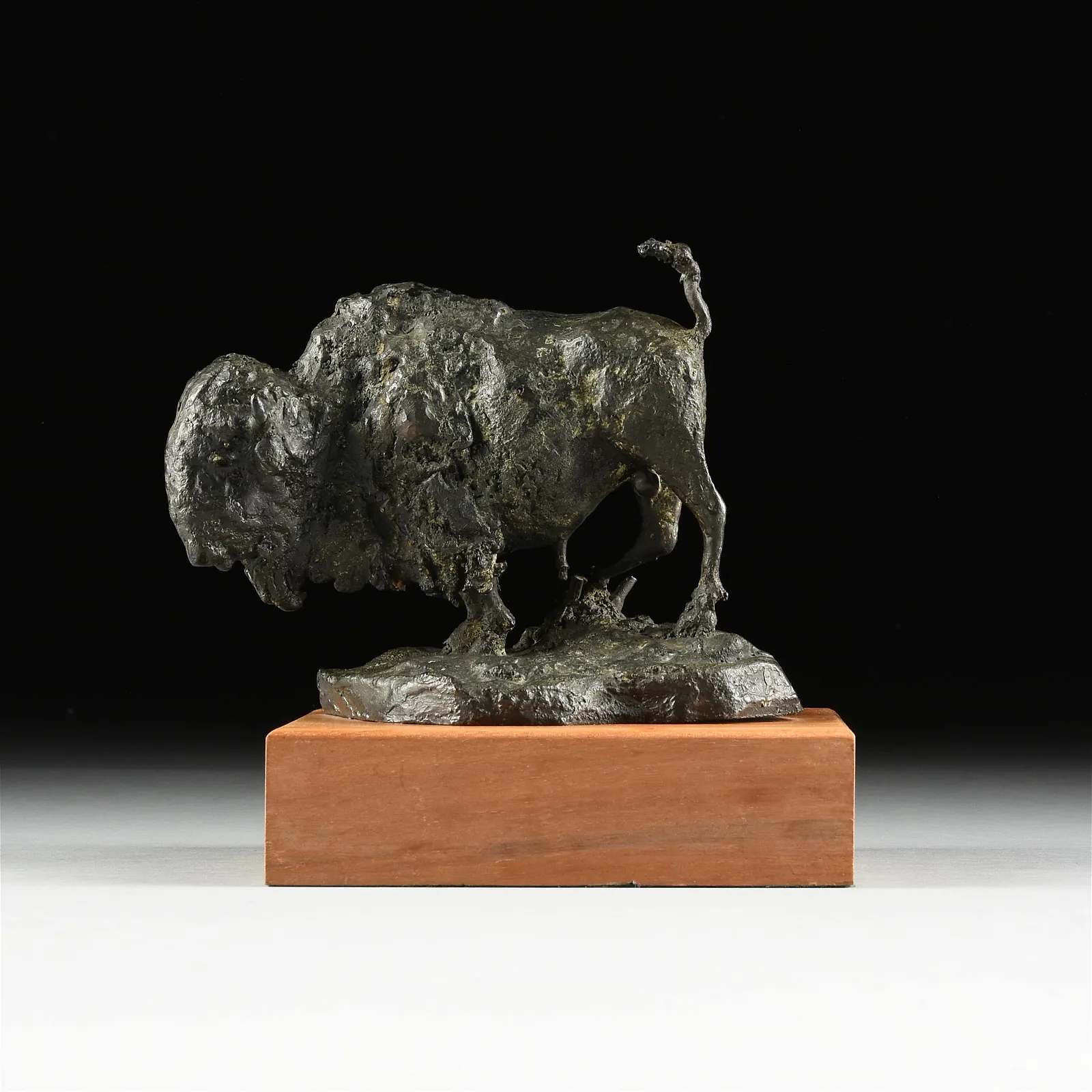 Bison