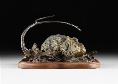 Cottontail