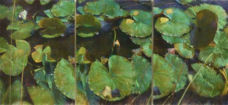 "Waterlillies I Triptych"