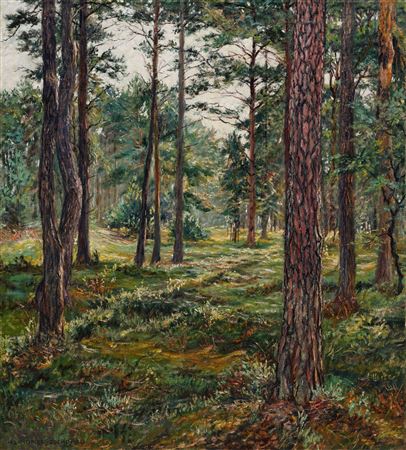 Norddeutscher Sommerwald.