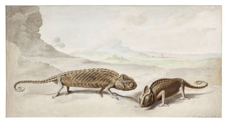 Sample artwork by Cornelis Van Noorde (1731 - 1795), known for painting - View similar artists and auction records
