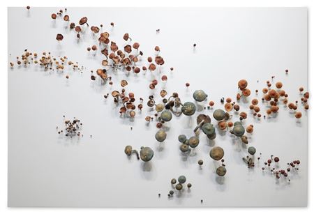 Untitled (Mushrooms)
