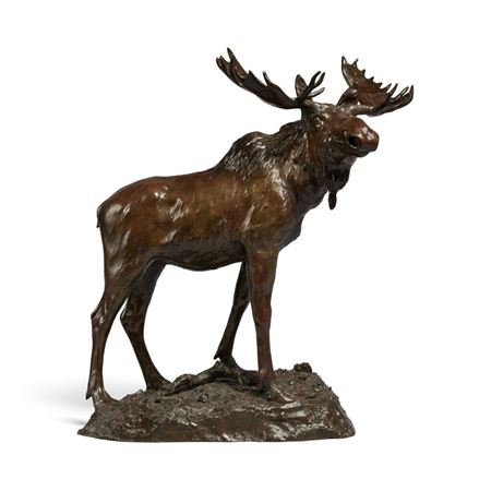 Bull Moose
