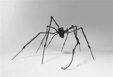 Spider
