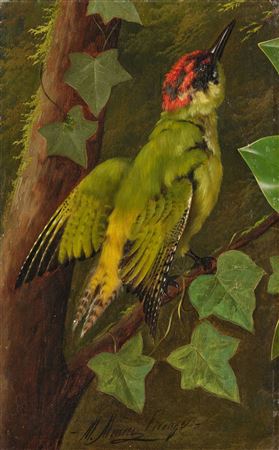 Study of a green woodpecker by Michelangelo Meucci - Auction record, sale price, and art valuation. Compare with similar artists and explore comparable artworks.