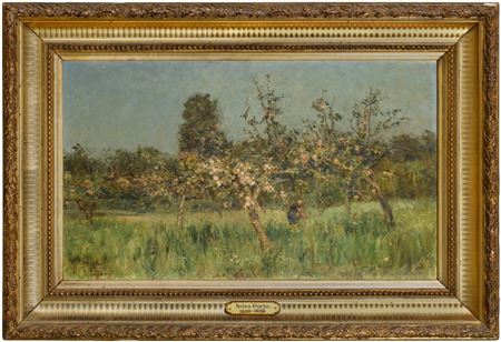 A Blossoming Orchard