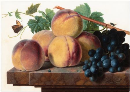 Still life of peaches and black grapes with a butterfly and other insects, all upon a marble ledge