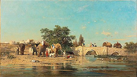 Elephant bathing