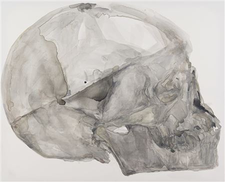 Skull