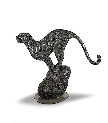 Leopard on a Boulder (S336) 2013
