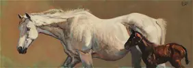 Mare and foal by Malcolm Coward - Auction record, sale price, and art valuation. Compare with similar artists and explore comparable artworks.