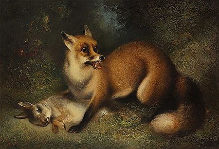 A fox and hare