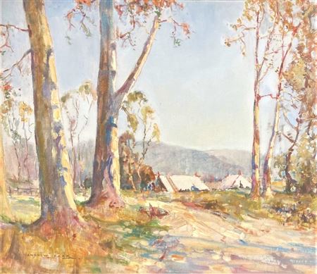 The Camp