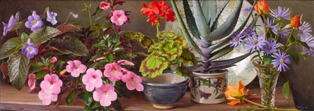 “A Shelf of Plants”
