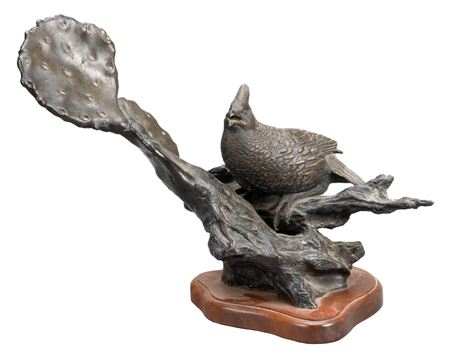Scaled Quail