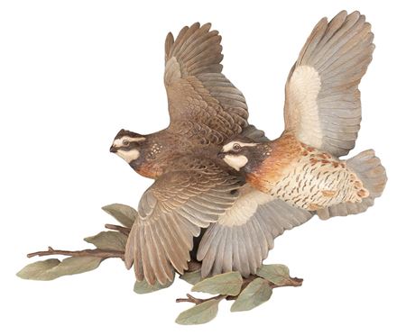 Quails in Flight by Bob Guelich - Auction record, sale price, and art valuation. Compare with similar artists and explore comparable artworks.