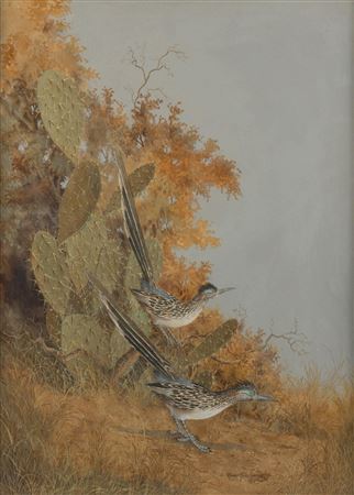 Roadrunners and Cactus
