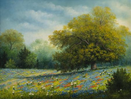 Bluebonnet Landscape