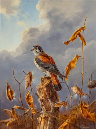 "Sparrow Hawk" by Rudi Reichardt - Auction record, sale price, and art valuation. Compare with similar artists and explore comparable artworks.