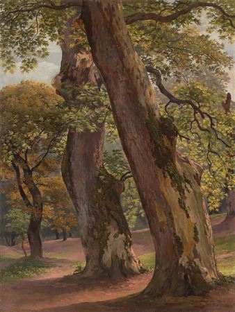 Sycamore trees in the park of the Villa Borghese in Rome. 1792