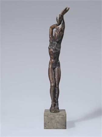 ”Große Daphne”. 1930