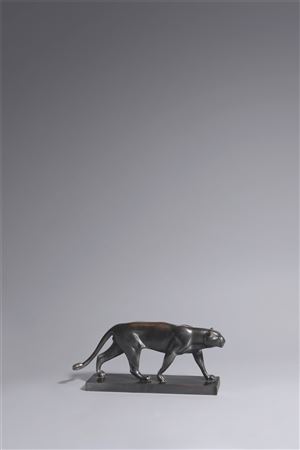 Leopard. 1909
