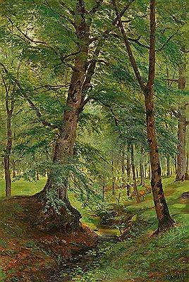 Forest interior.