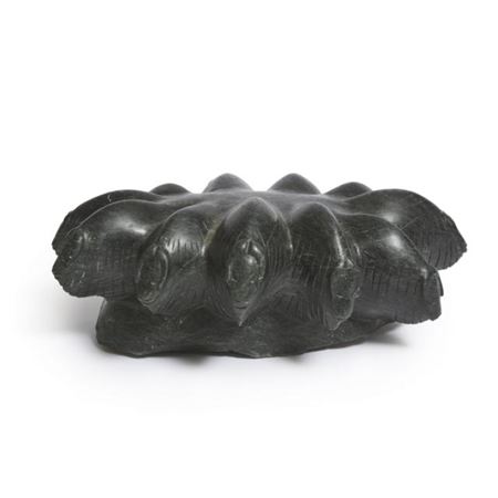 HERD OF MUSK OXEN