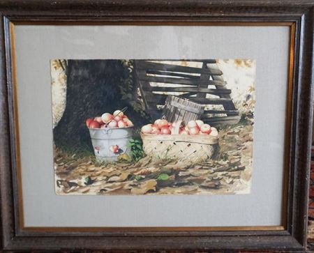 Mrs. Loops Cider Apples