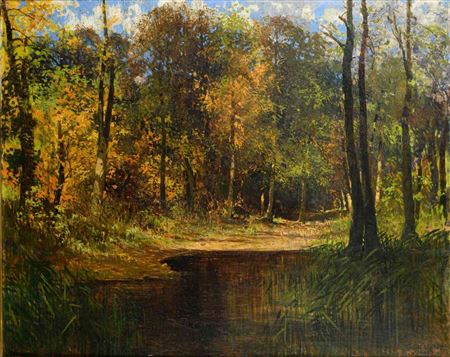 Sunny forest landscape