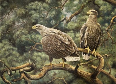 Sample artwork by Friedrich Reimann (1896 - 1991), known for hunting and animal painting - View similar artists and auction records