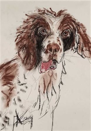 Springer