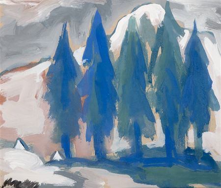 FIR TREES, DUBLIN MOUNTAINS