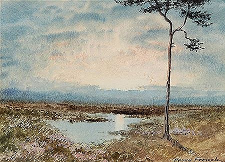 Tree by a bog lake
