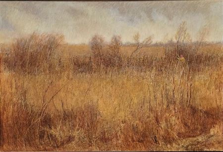Hunter in Grassland