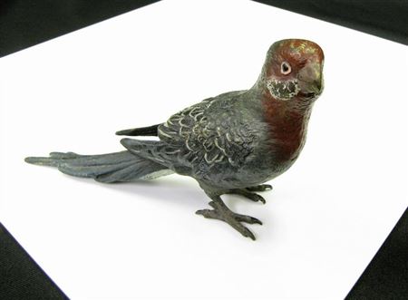 Parrot