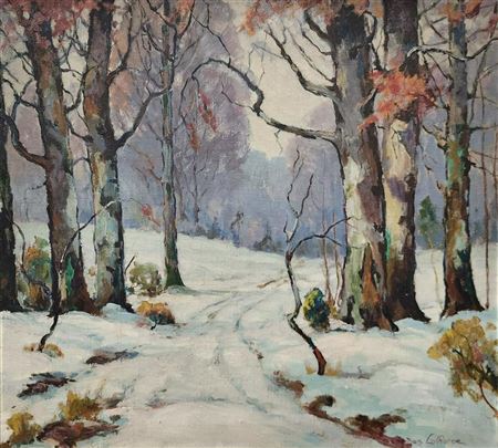 Snowy Landscape