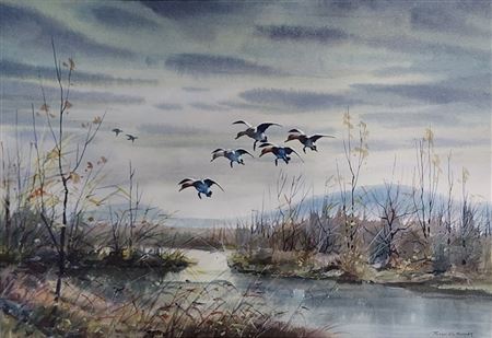Ducks in Flight