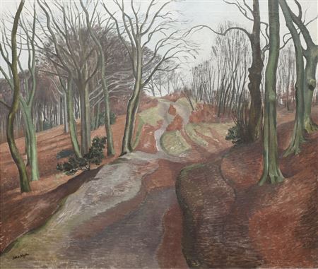 Winter in a Beechwood