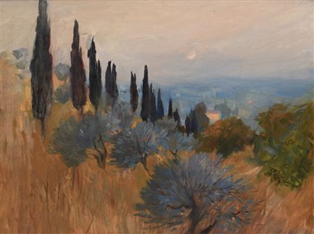 Extensive Italian landscape with poplars