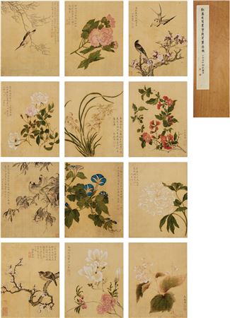 Flowers and Birds (12)