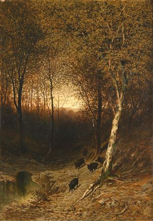 'Wild boars in the forest'