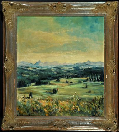 Wide Allgäu landscape