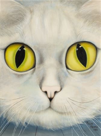 Big Eyed cat