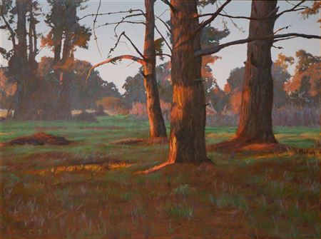 Pine Grove