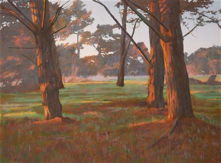 Pine Grove