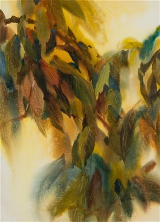 Leaves