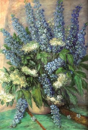 Delphinium and Elderberry