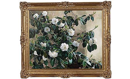 "Camelia"